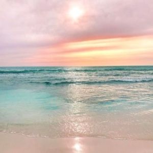 Meet your Posher, Lily